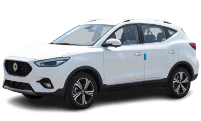 Mg zs 2022